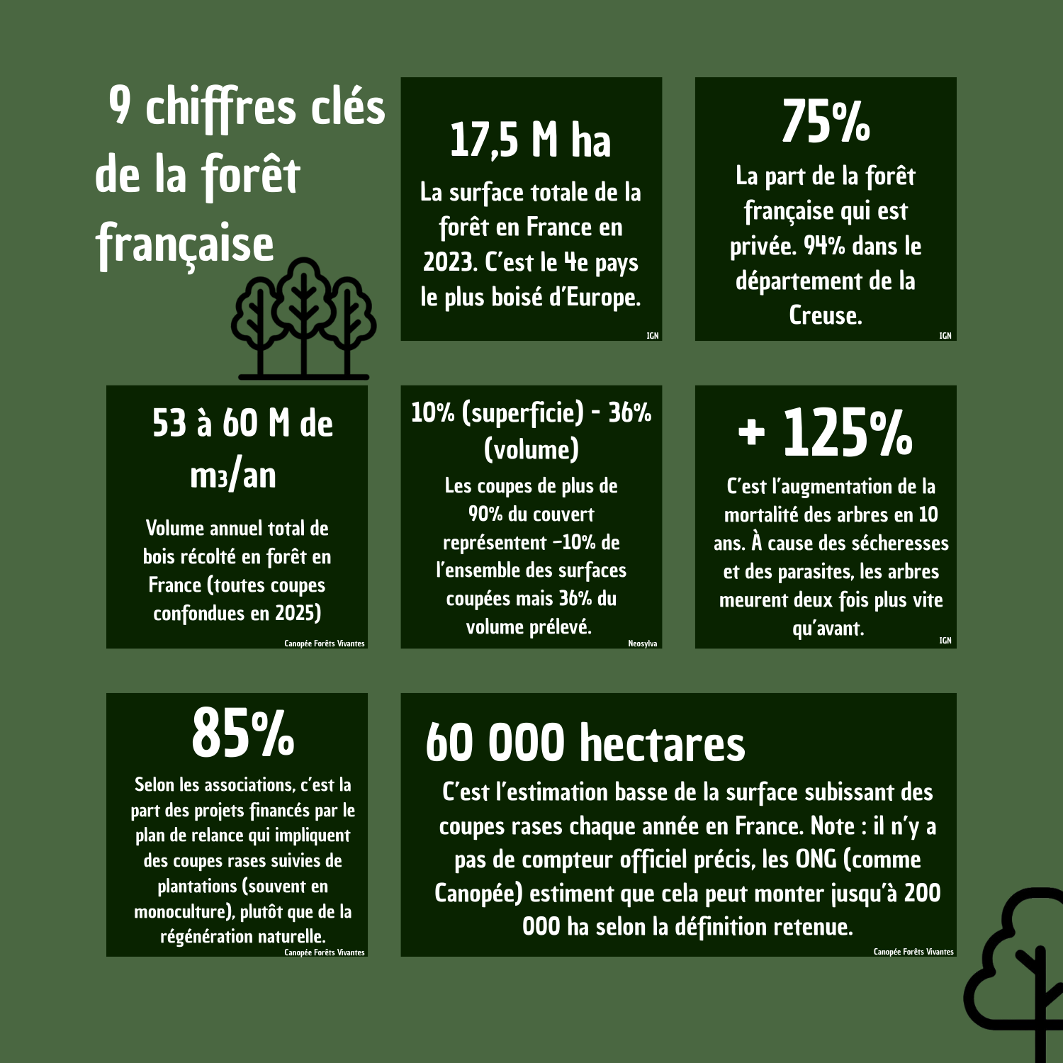 9 chiffres clés de la forêt française